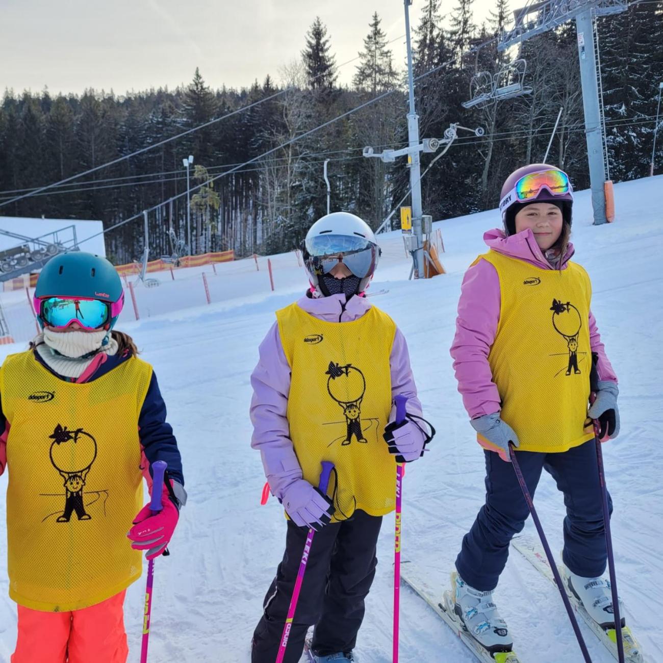 LVK 5.A a 5.C - Šumava