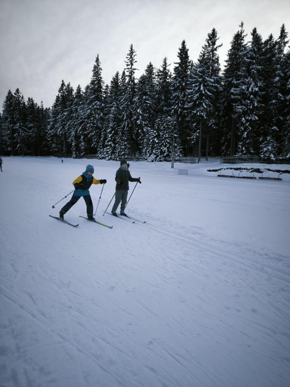 LVK 5.A a 5.C - Šumava