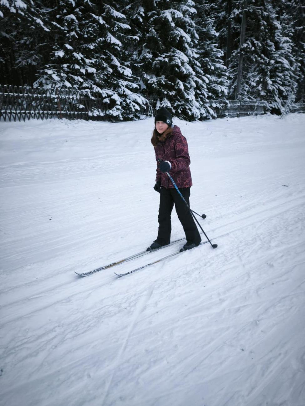 LVK 5.A a 5.C - Šumava