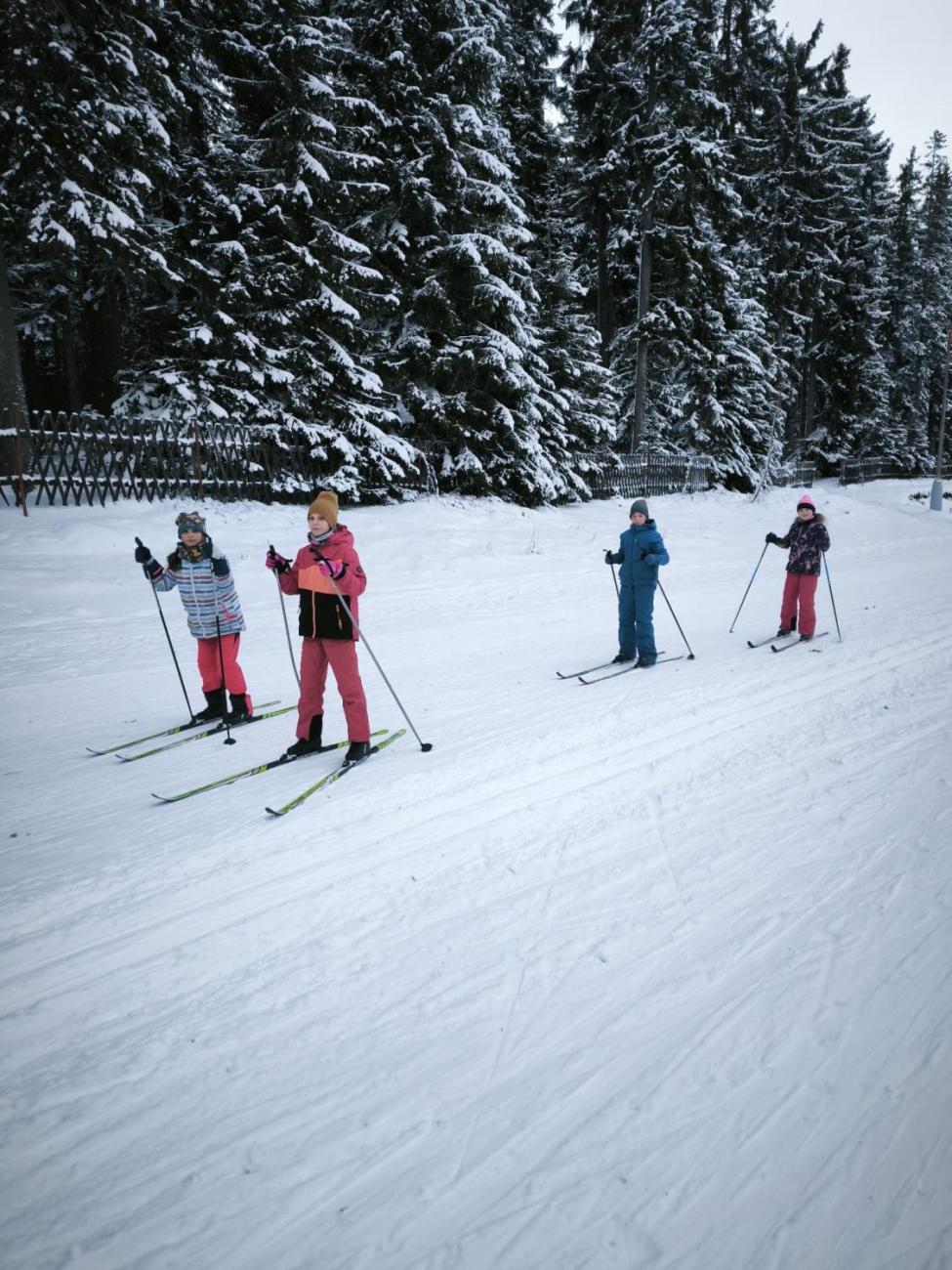 LVK 5.A a 5.C - Šumava