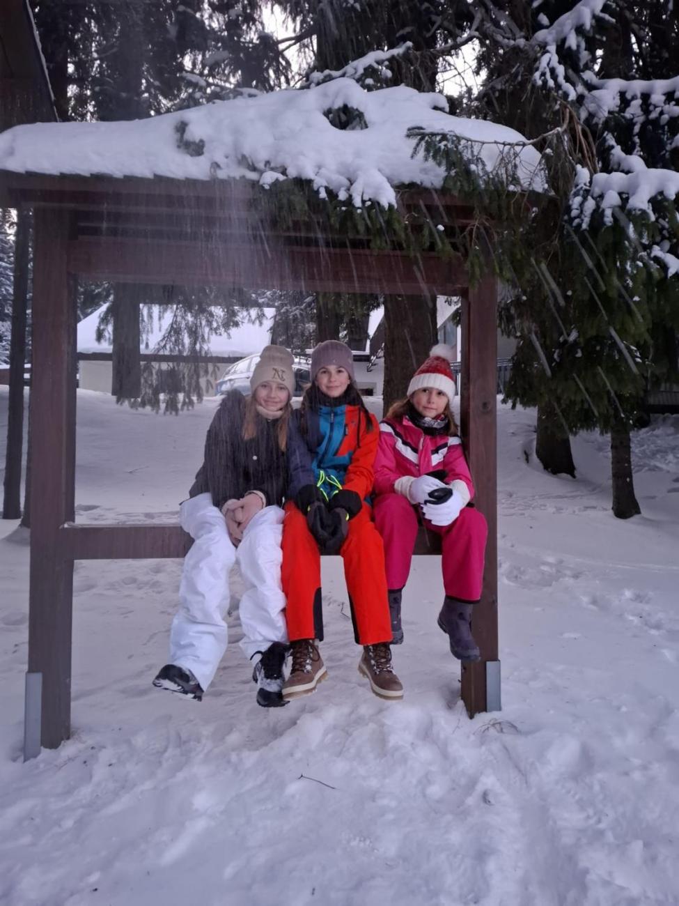 LVK 5.A a 5.C - Šumava