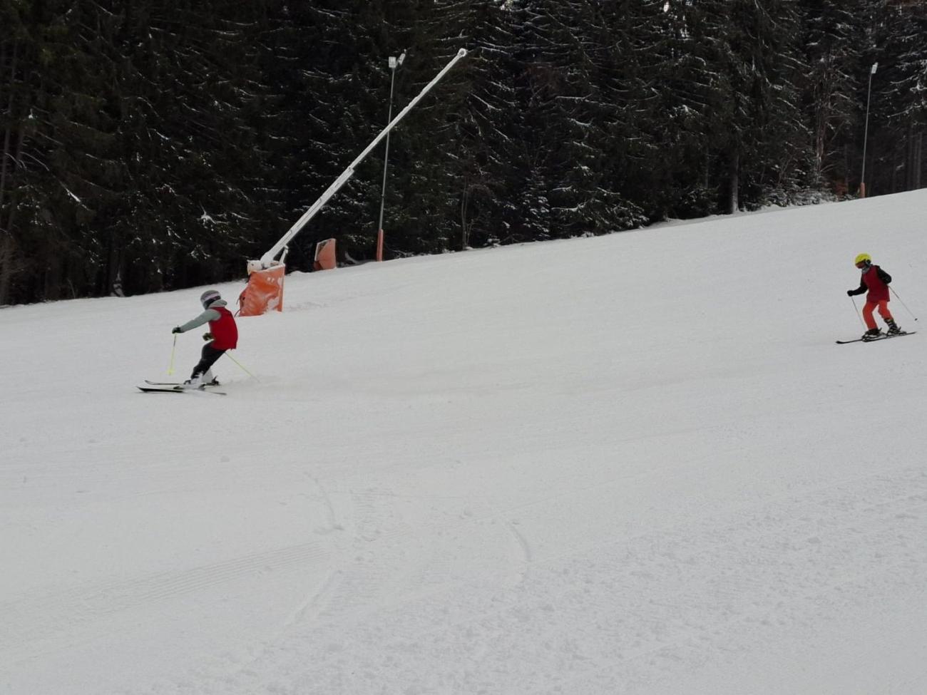 LVK 5.A a 5.C - Šumava