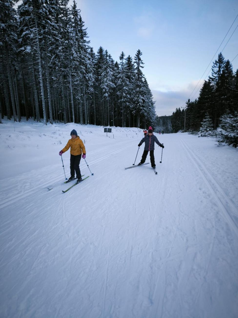 LVK 5.A a 5.C - Šumava