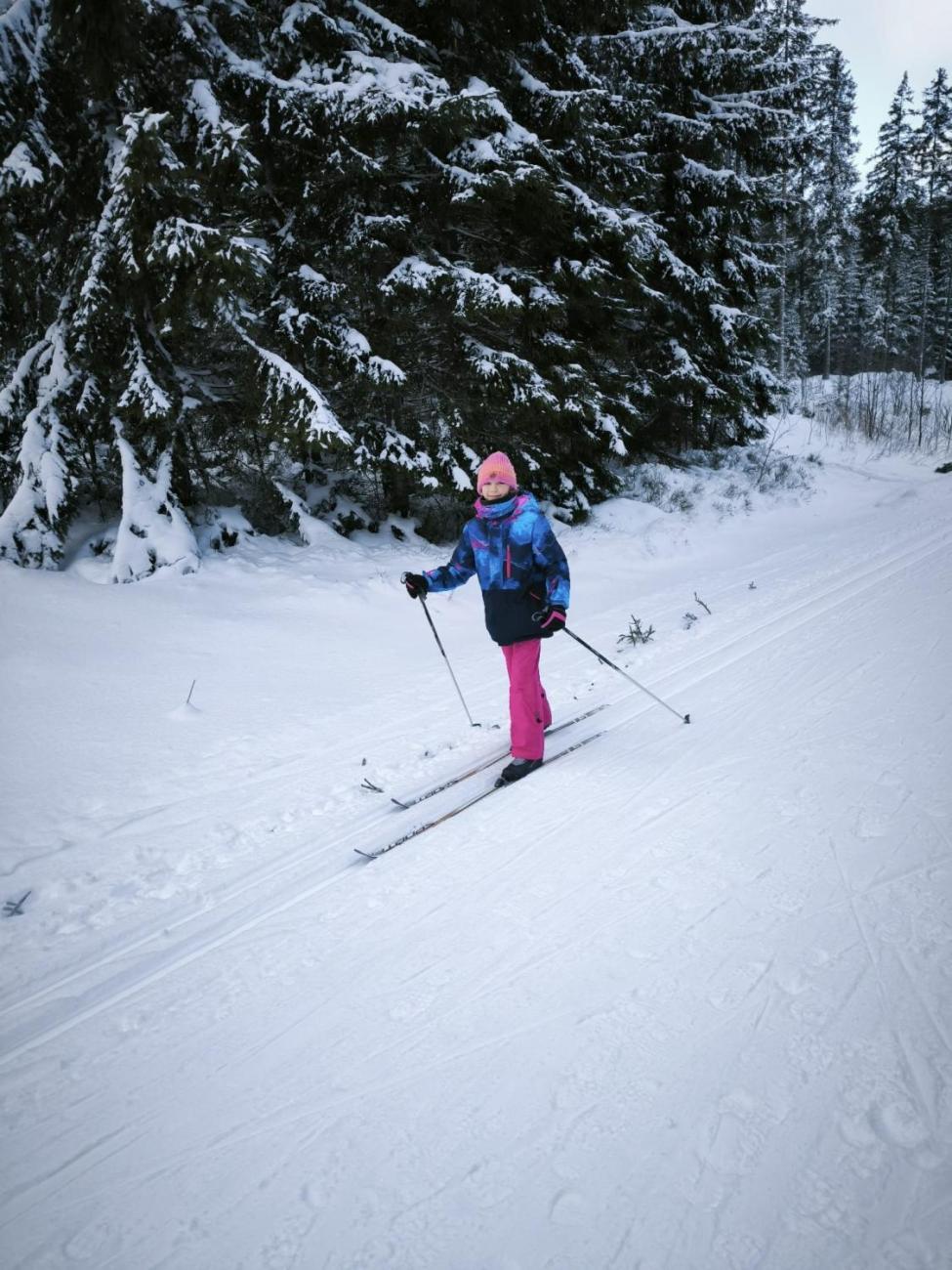 LVK 5.A a 5.C - Šumava