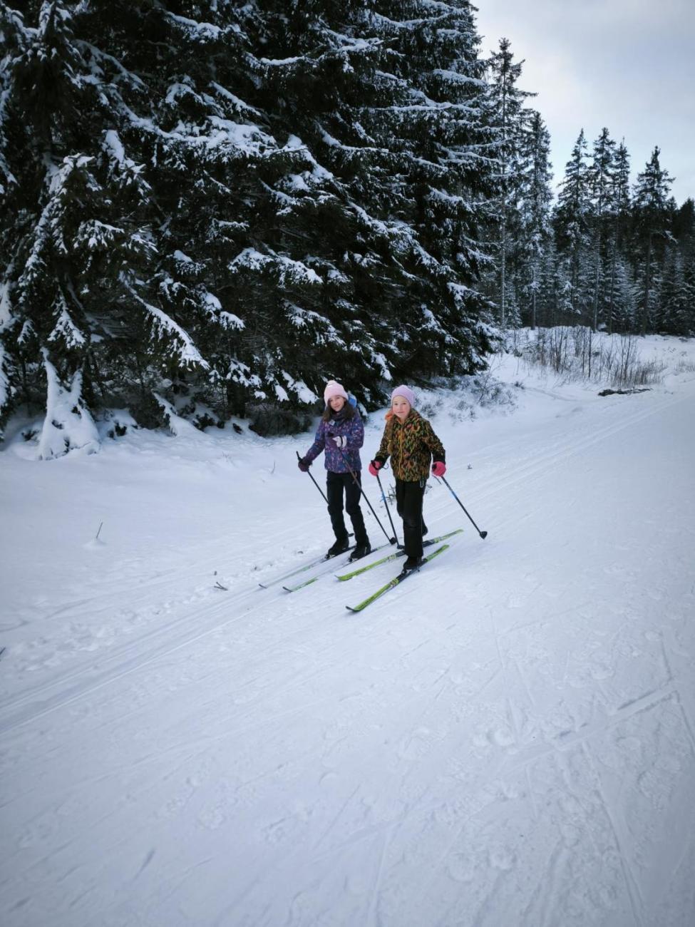 LVK 5.A a 5.C - Šumava