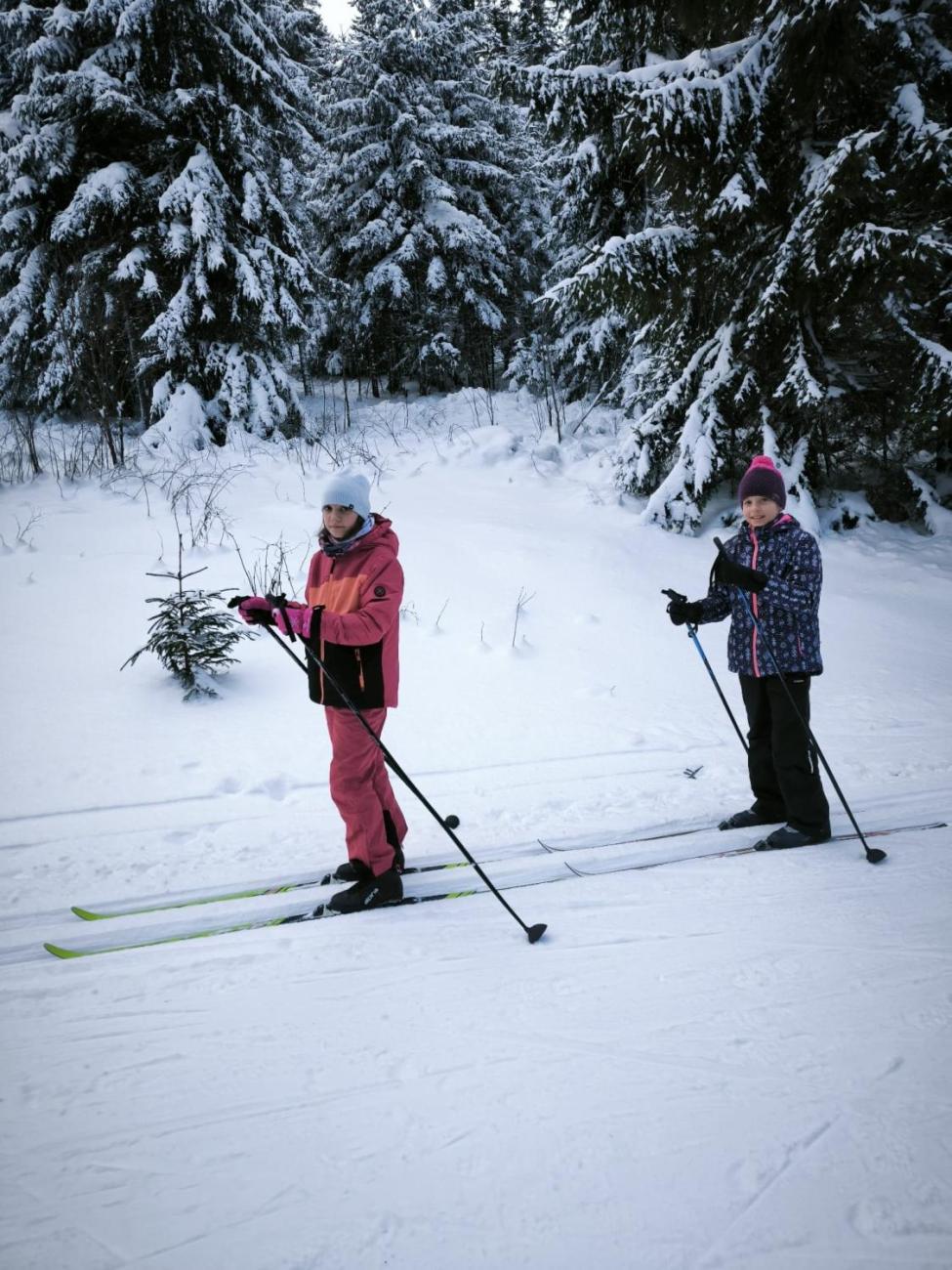 LVK 5.A a 5.C - Šumava