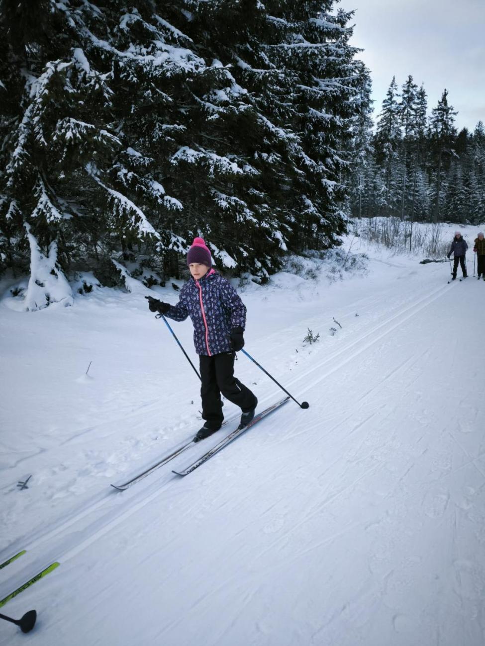 LVK 5.A a 5.C - Šumava