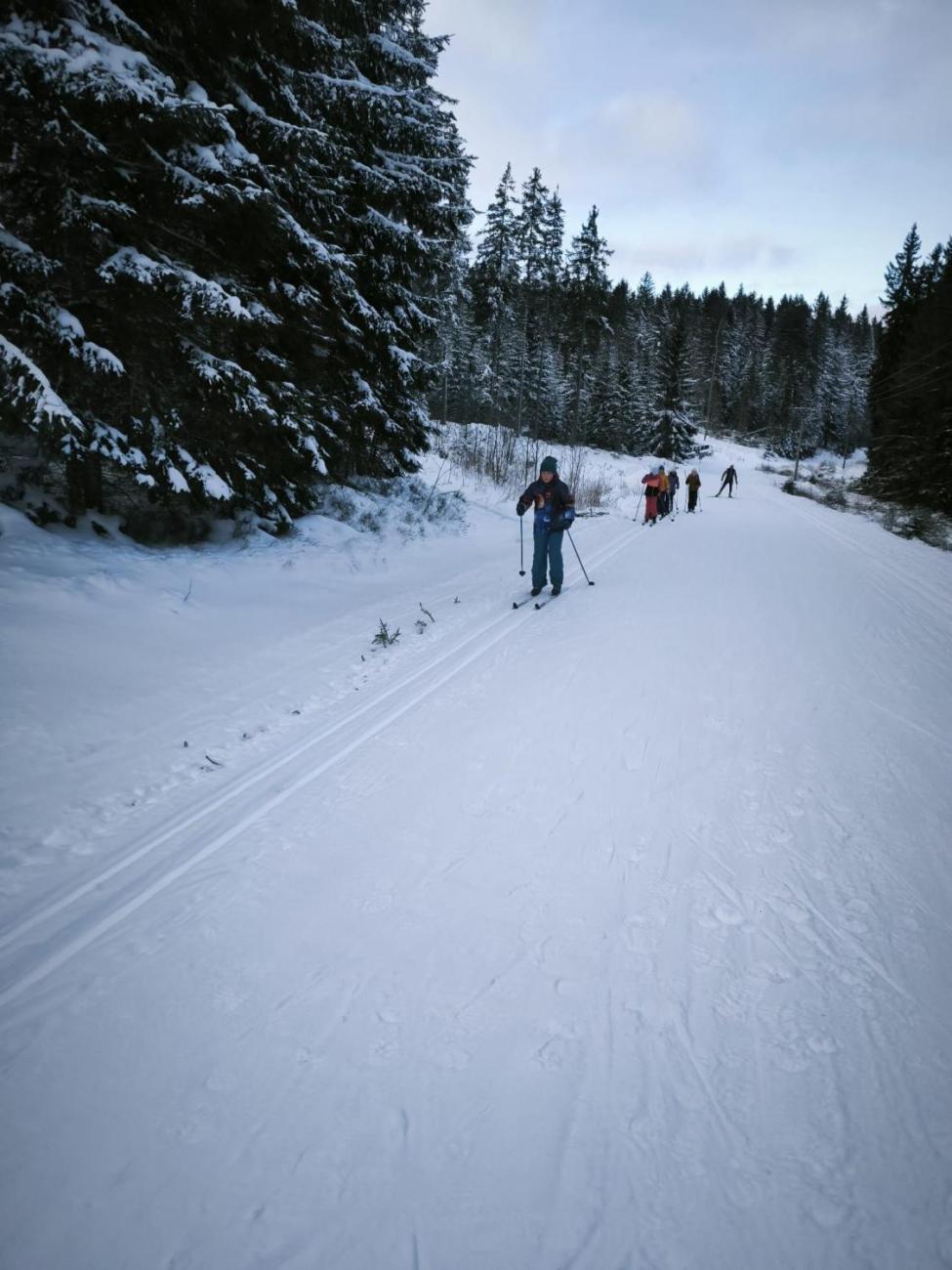 LVK 5.A a 5.C - Šumava
