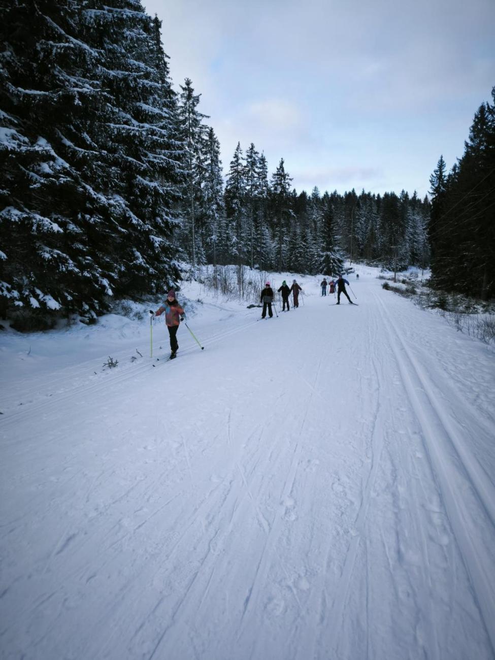 LVK 5.A a 5.C - Šumava