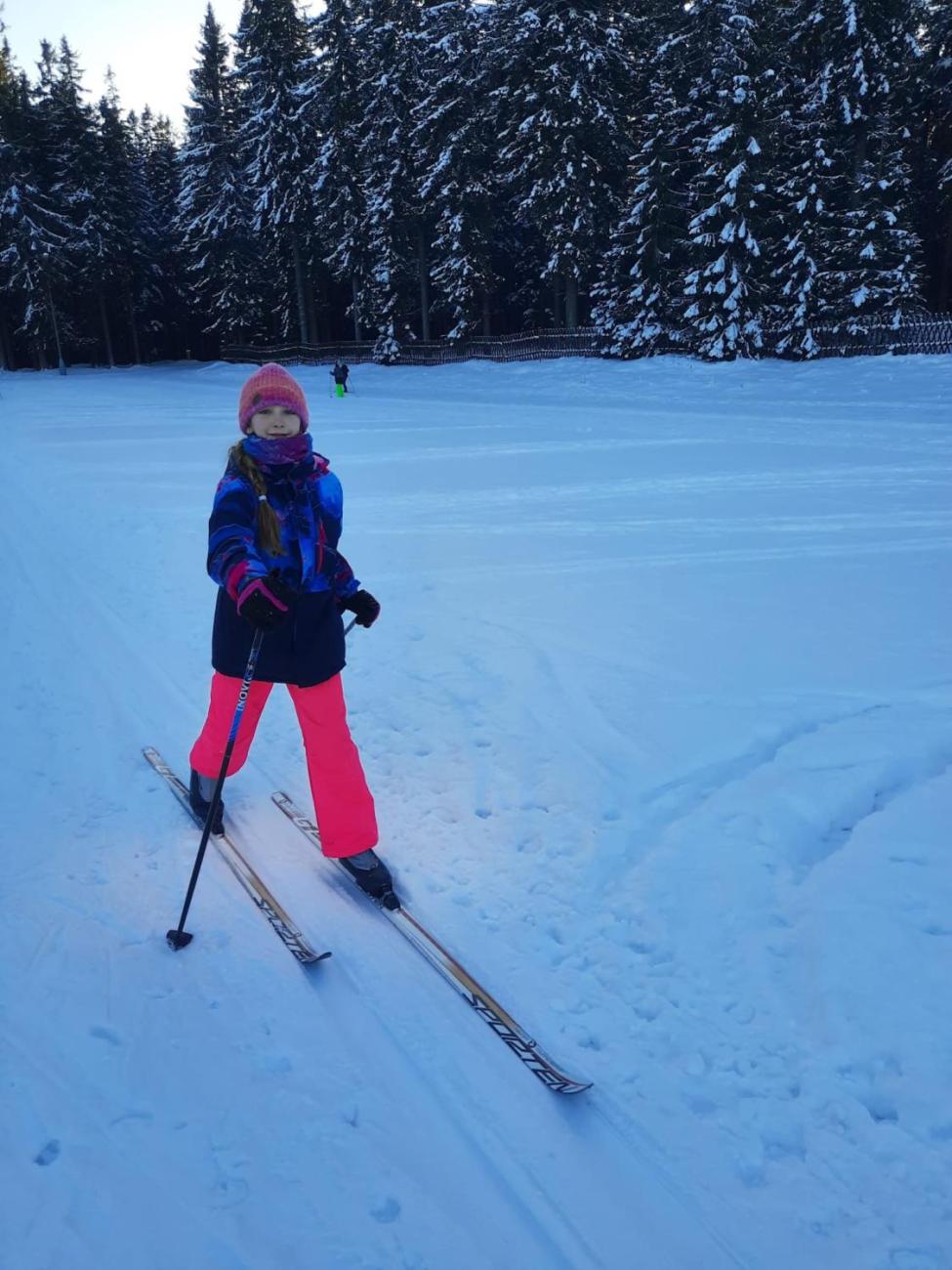 LVK 5.A a 5.C - Šumava