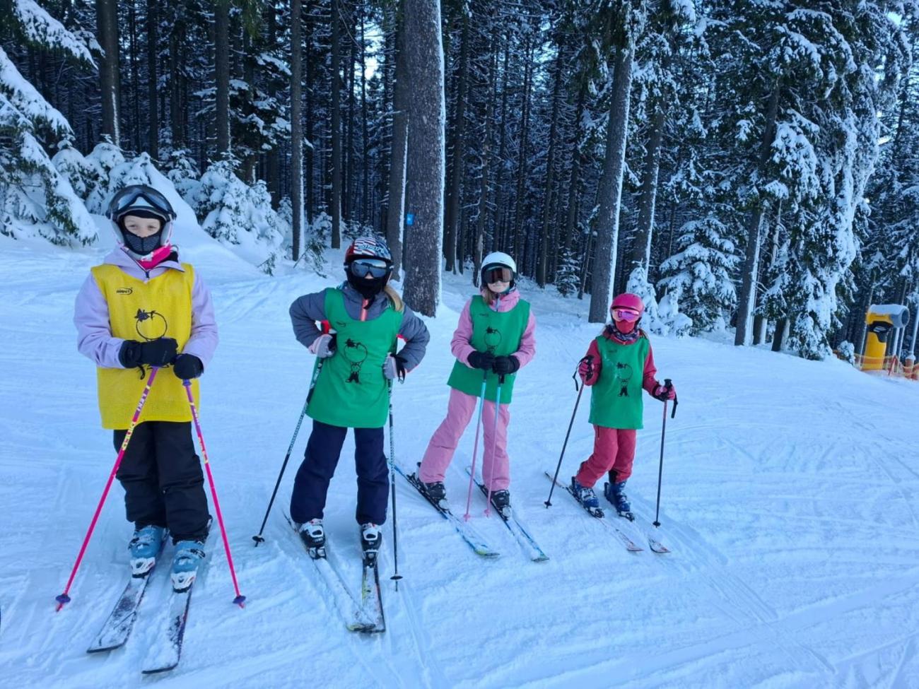 LVK 5.A a 5.C - Šumava