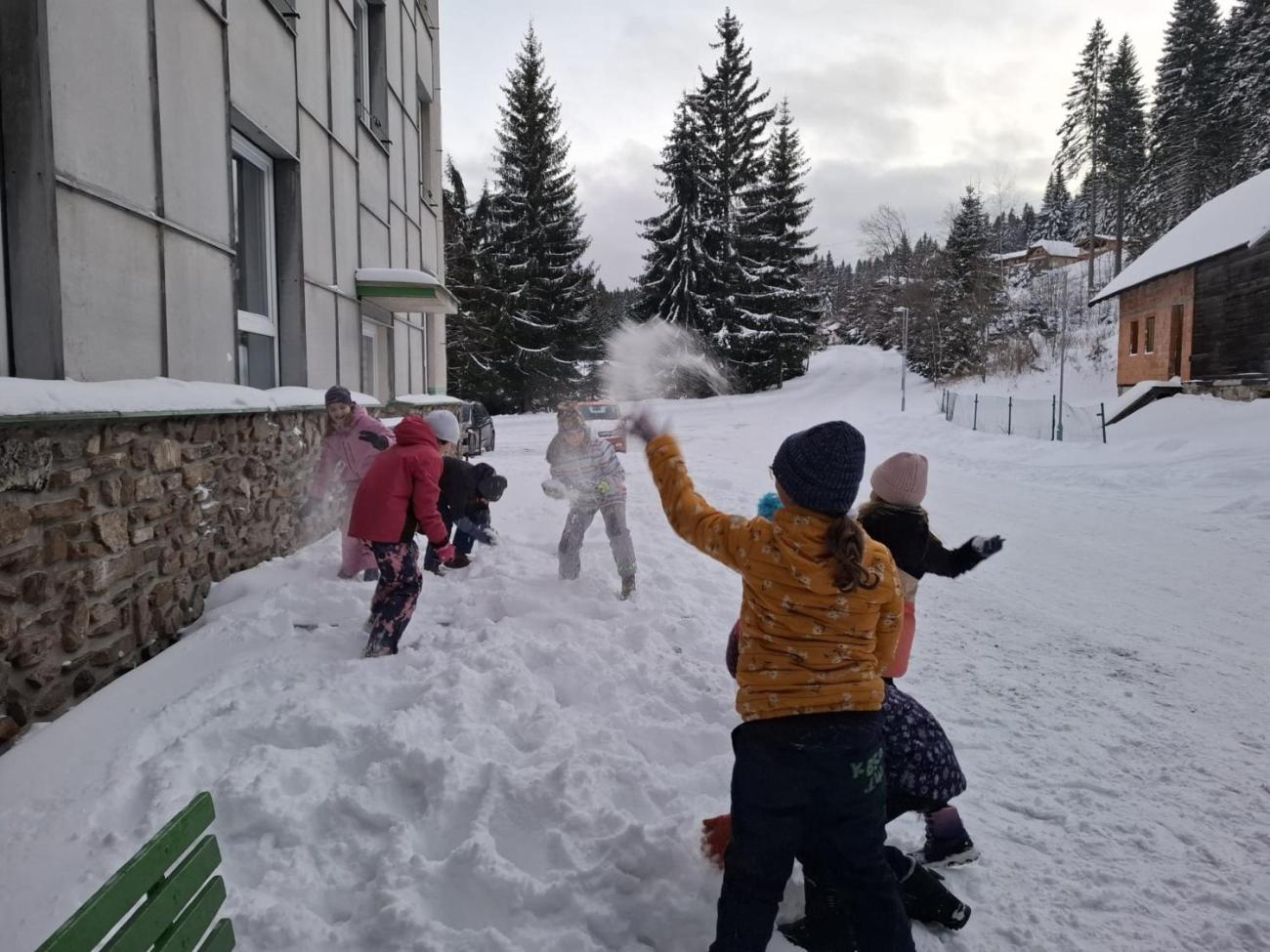 LVK 5.A a 5.C - Šumava