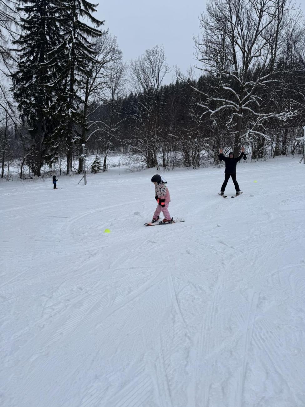 Den plný lyžování