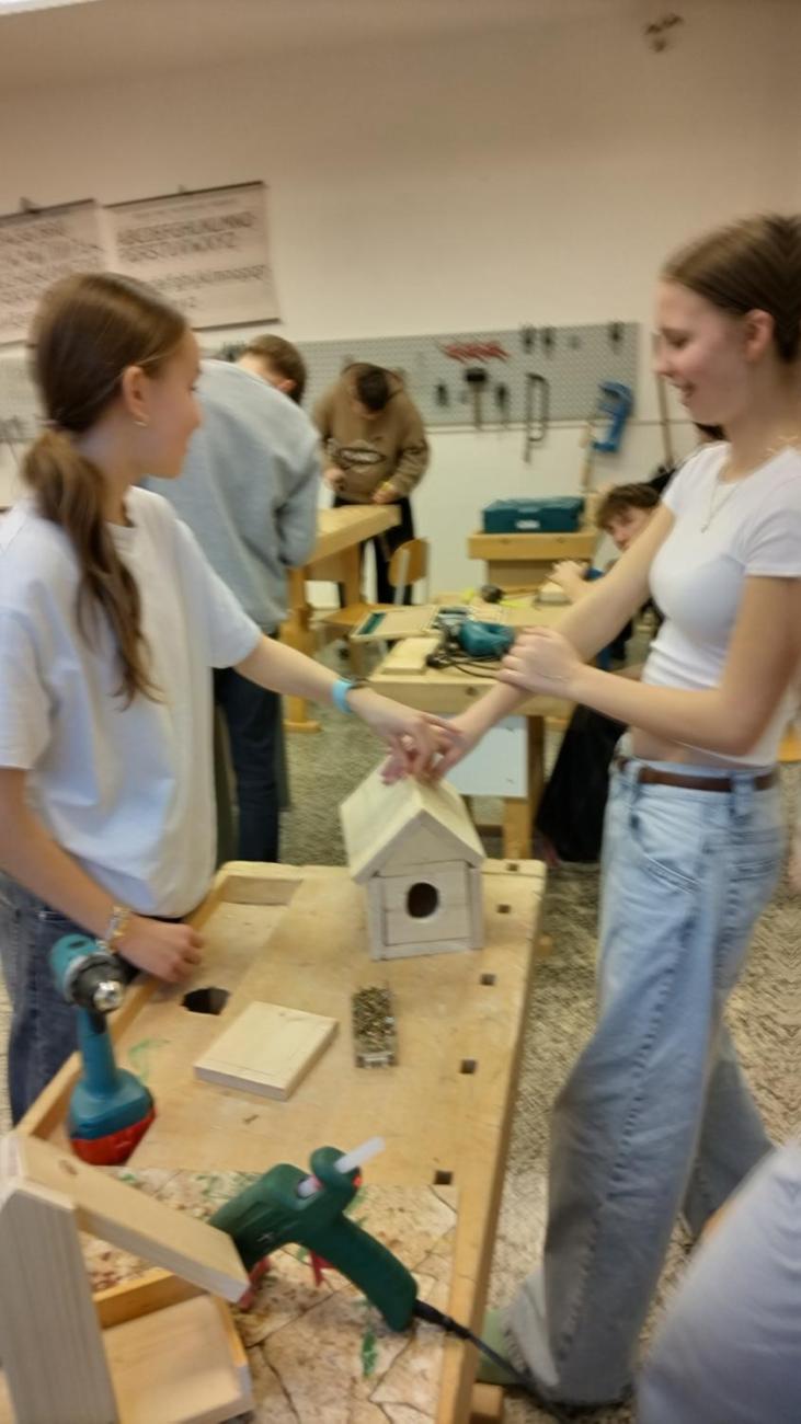 Vyrábíme krmítka i ptačí budky