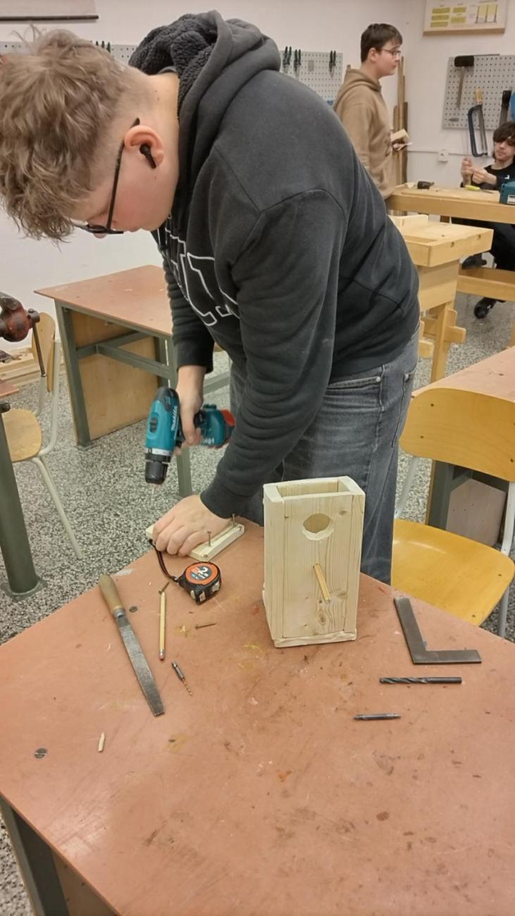 Vyrábíme krmítka i ptačí budky