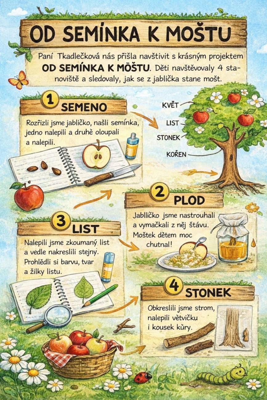 Od semínka k moštu  2.A