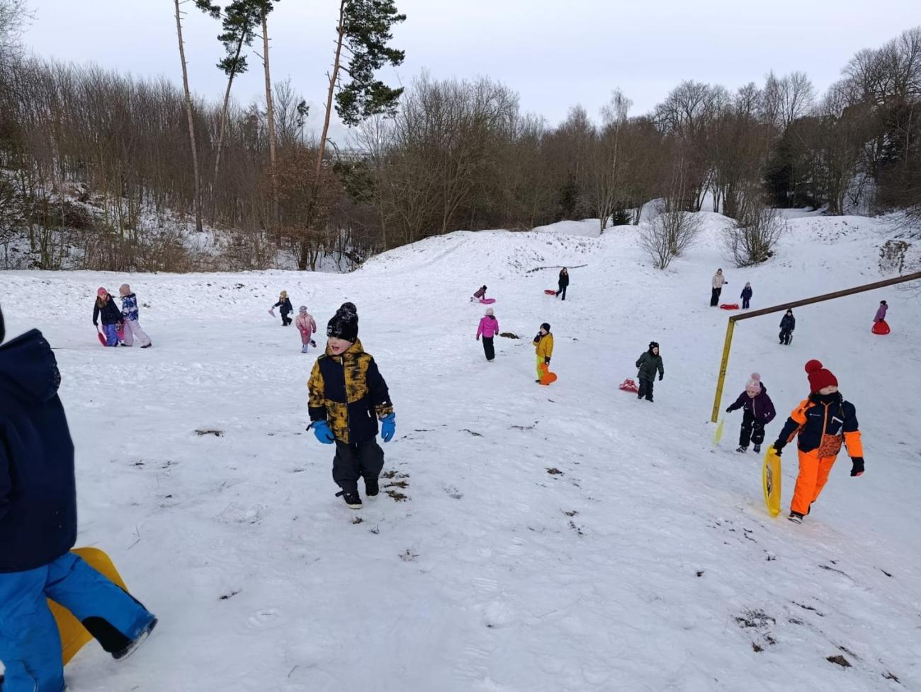 Společné zimní radovánky 1.C a 9.B