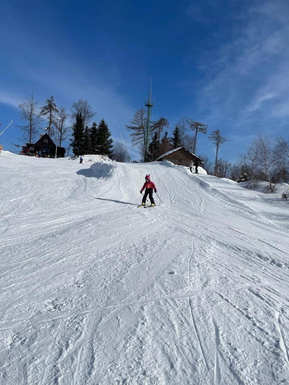 Lyžování na Čeřínku  2. ročník