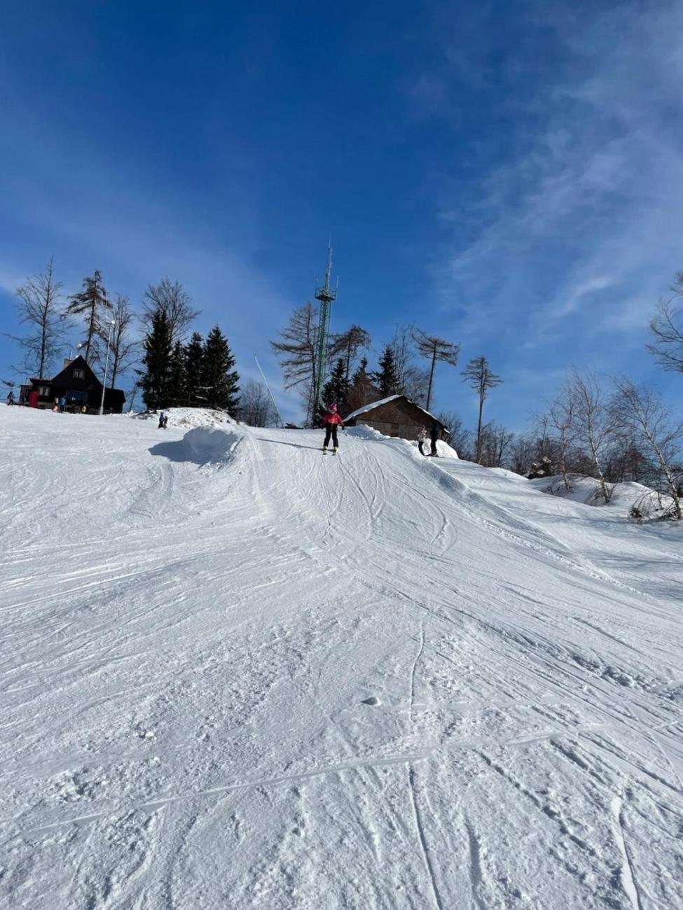 Lyžování na Čeřínku  2. ročník