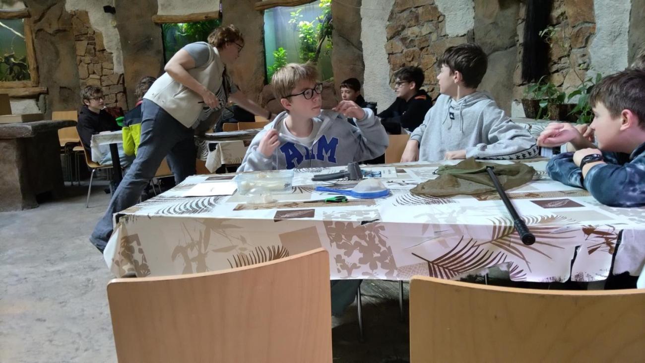 Ptačí svět – vzdělávací program v ZOO Jihlava