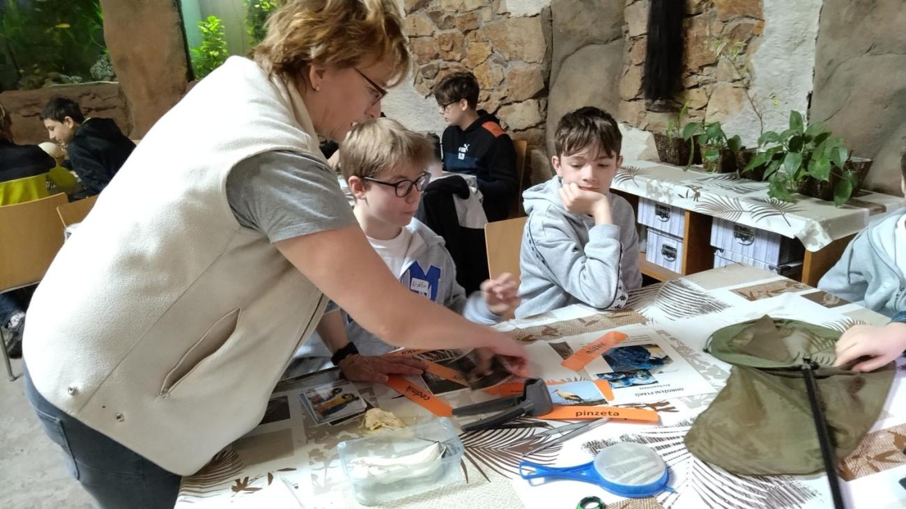 Ptačí svět – vzdělávací program v ZOO Jihlava