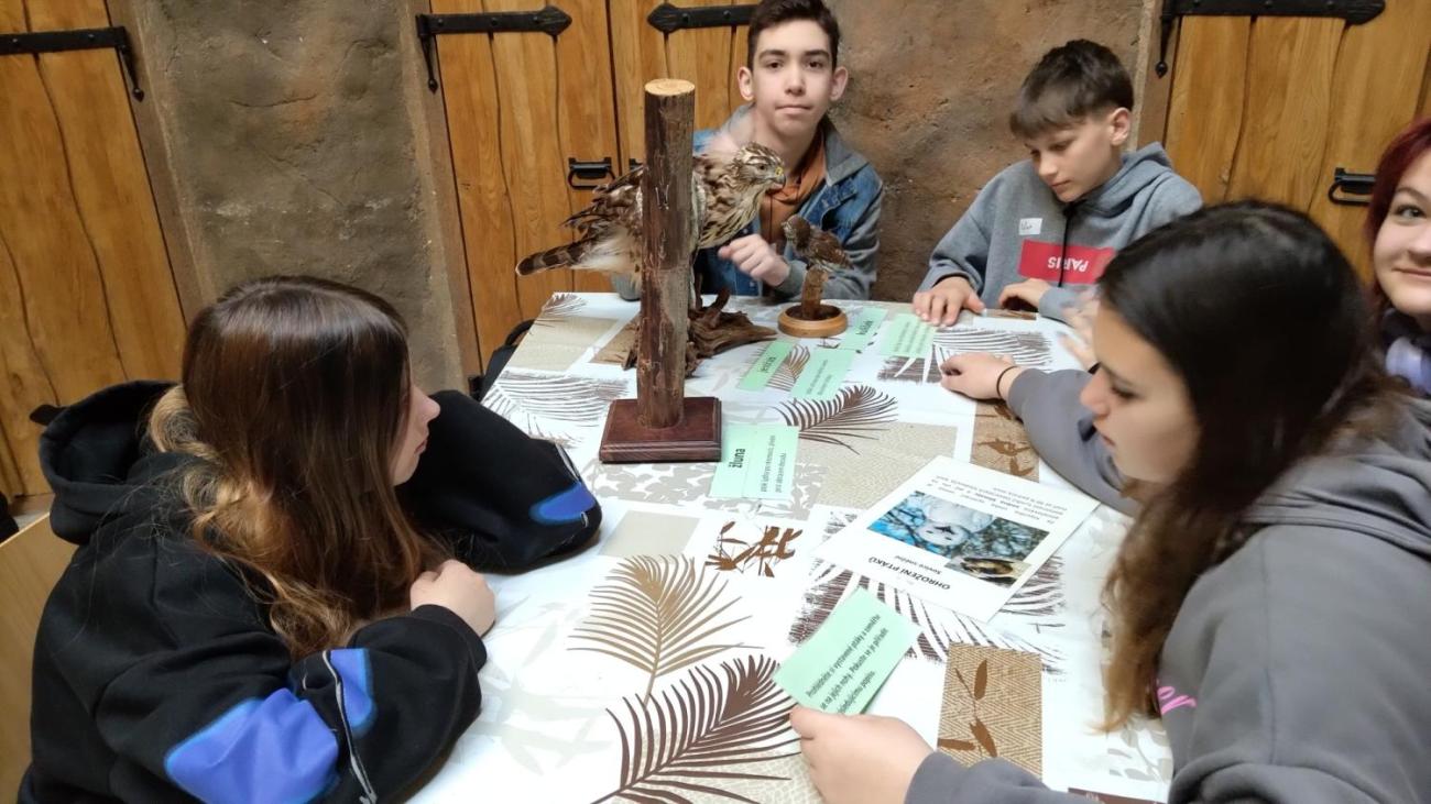 Ptačí svět – vzdělávací program v ZOO Jihlava