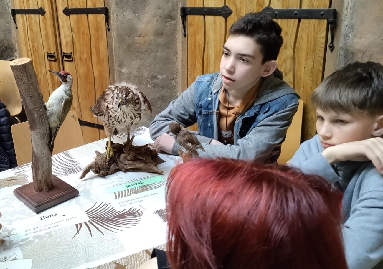 Ptačí svět – vzdělávací program v ZOO Jihlava