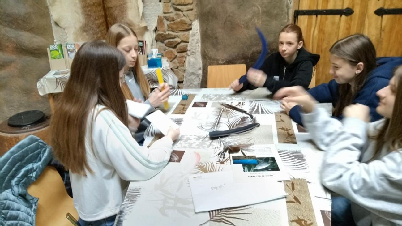 Ptačí svět – vzdělávací program v ZOO Jihlava