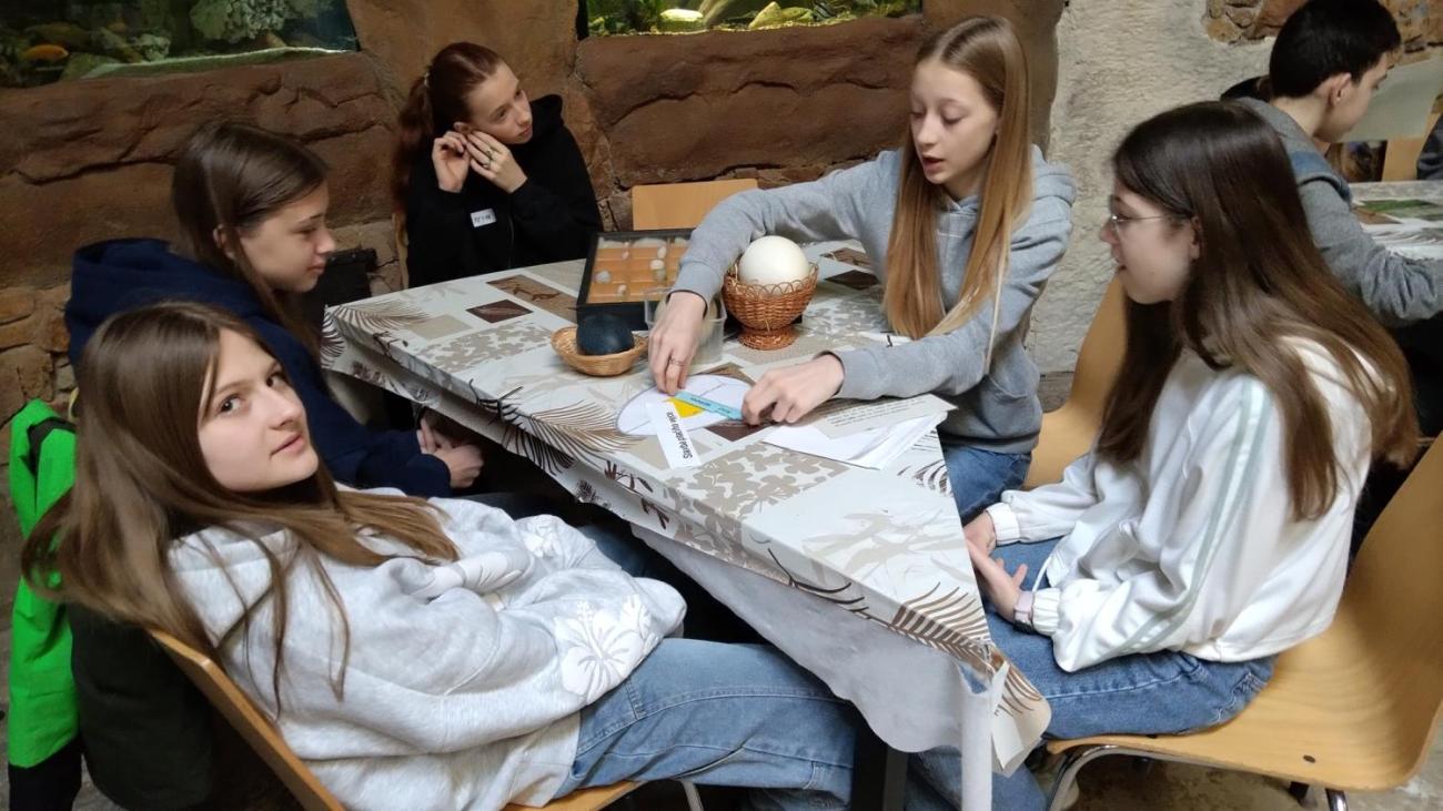 Ptačí svět – vzdělávací program v ZOO Jihlava