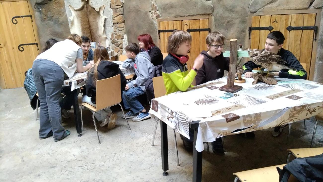 Ptačí svět – vzdělávací program v ZOO Jihlava