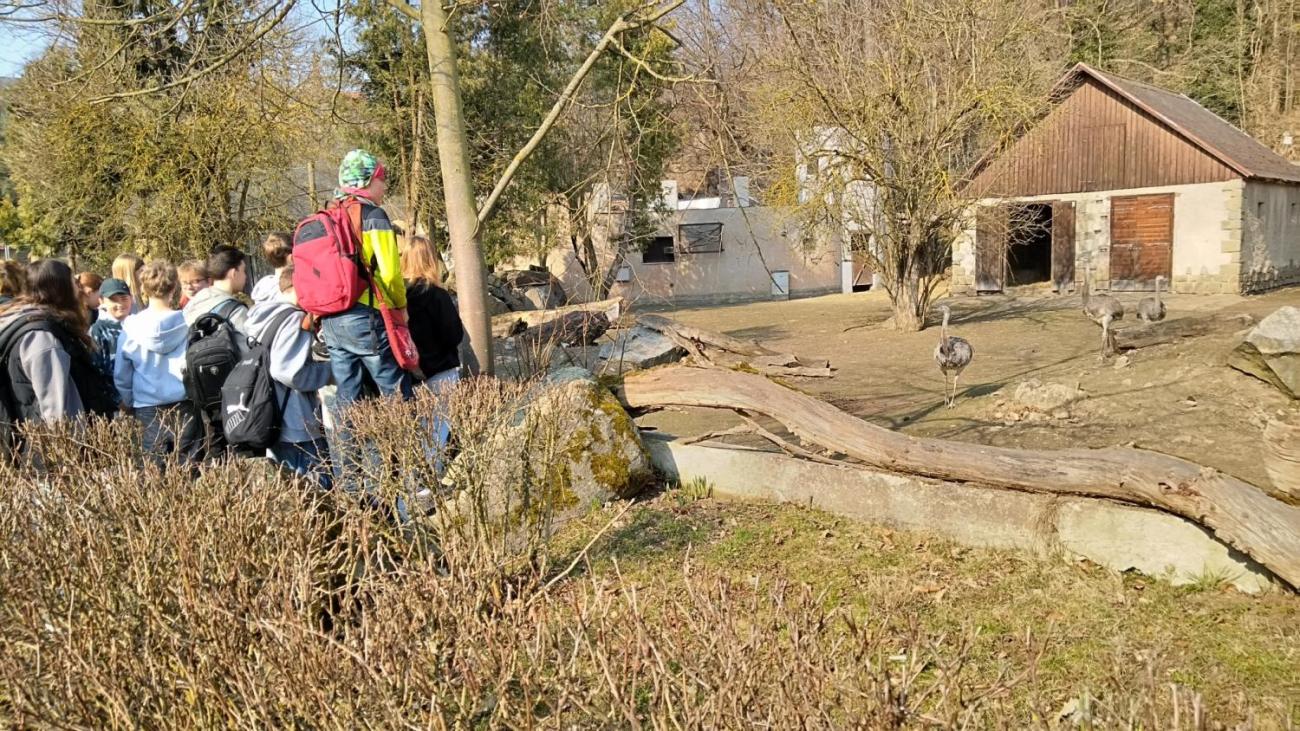 Ptačí svět – vzdělávací program v ZOO Jihlava