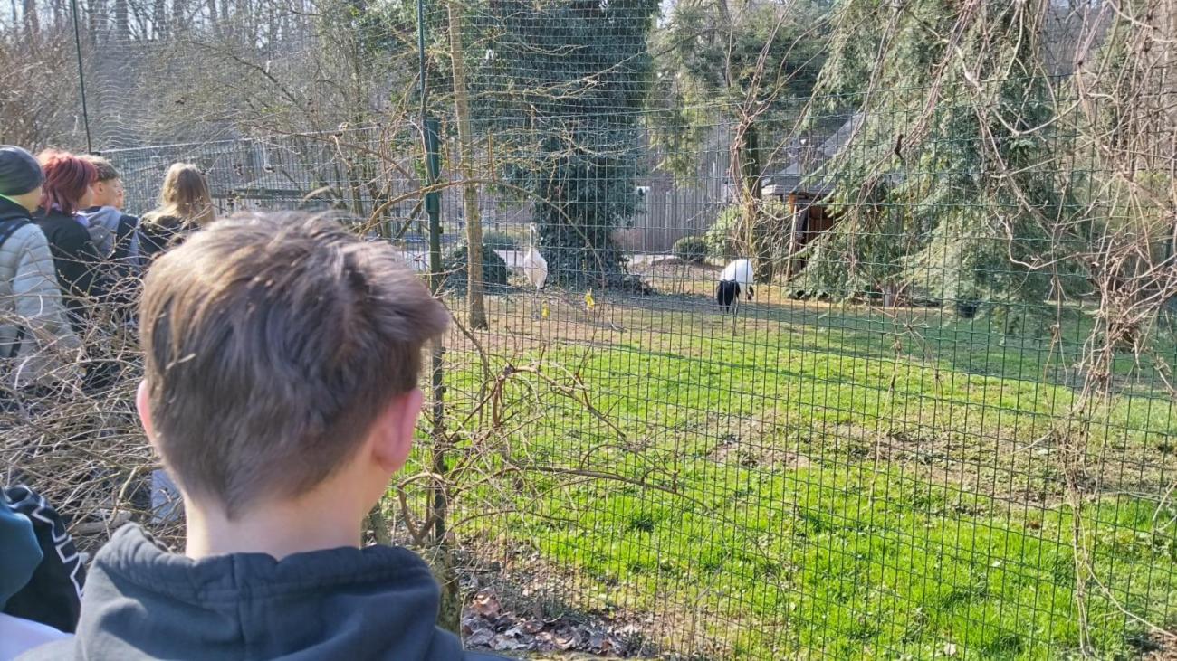 Ptačí svět – vzdělávací program v ZOO Jihlava