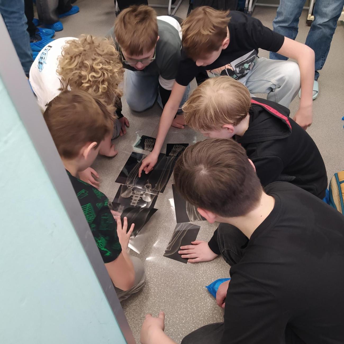 Projekt "Lidské tělo" škola Farmeko  5.B