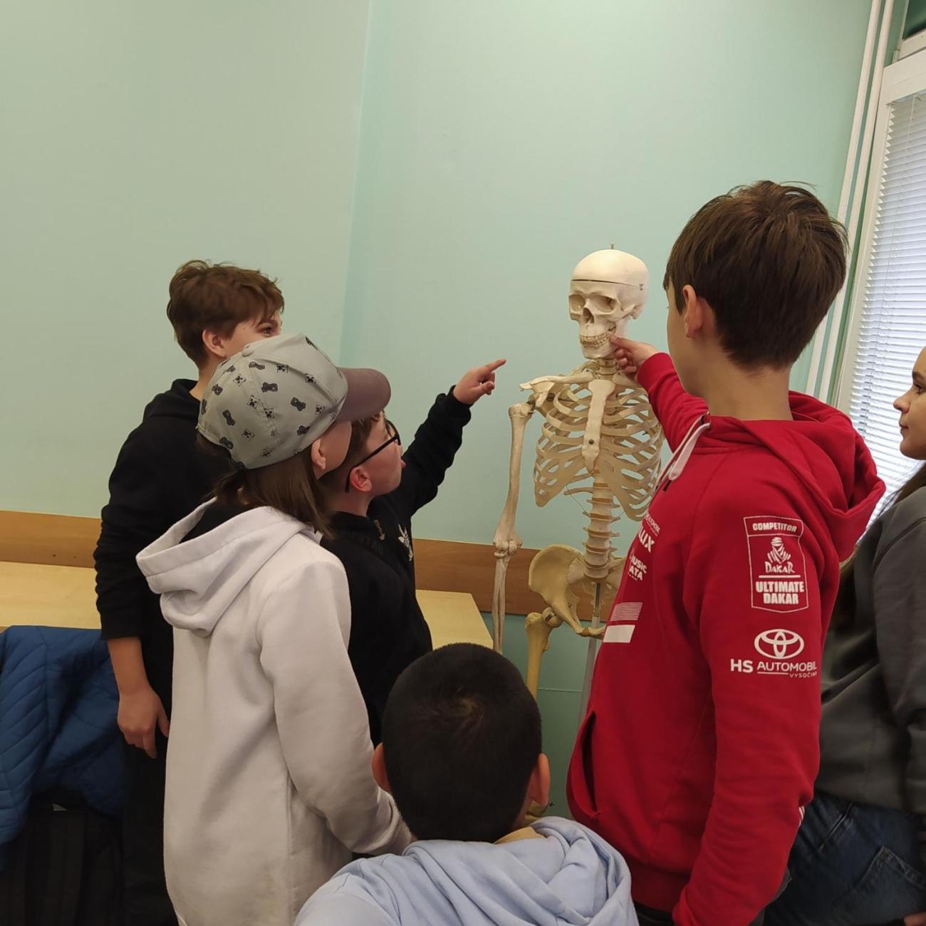 Projekt "Lidské tělo" škola Farmeko  5.B