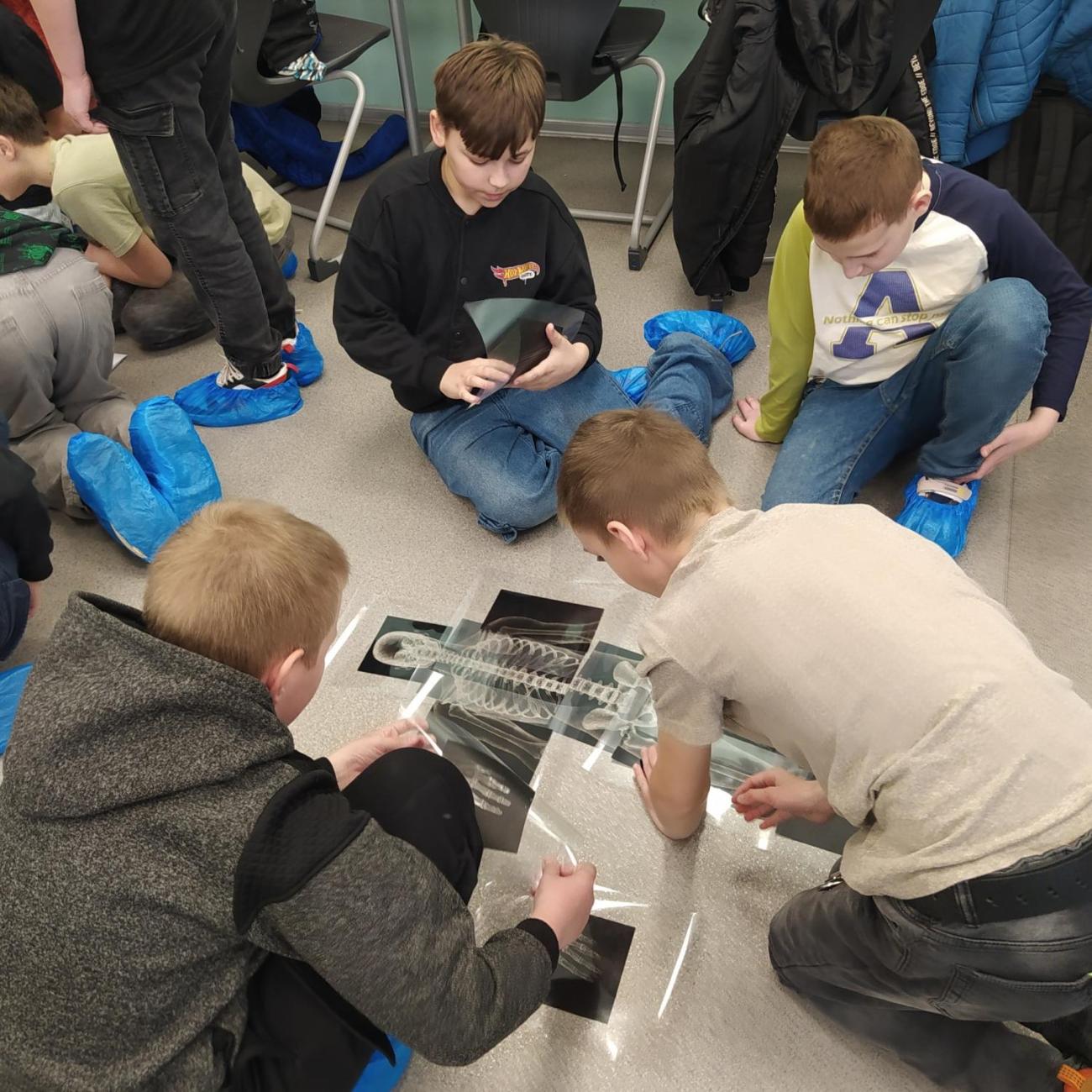 Projekt "Lidské tělo" škola Farmeko  5.B