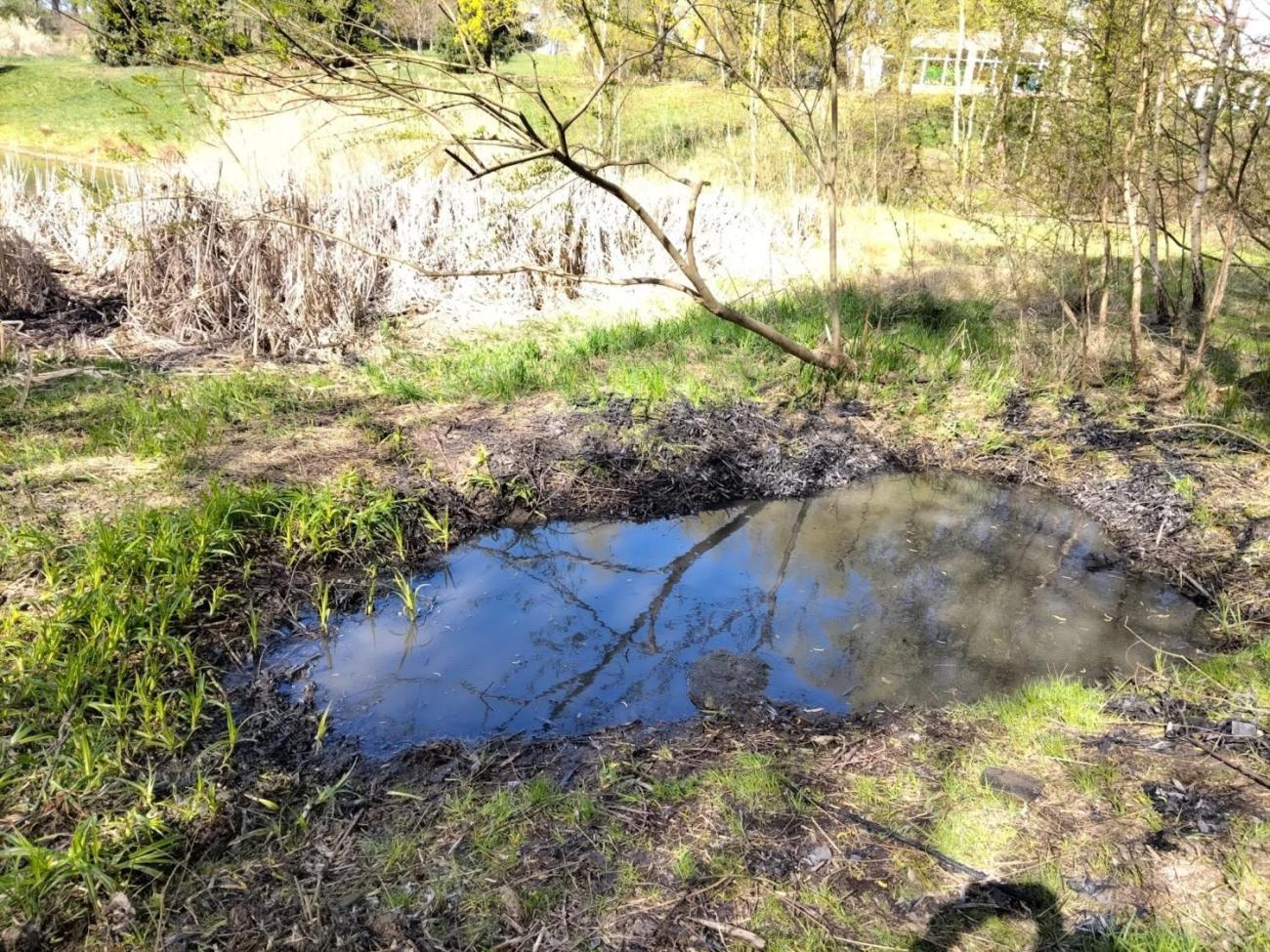 Práce pro přírodu