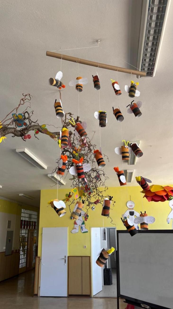 Třídní projekt Včelky 2.B