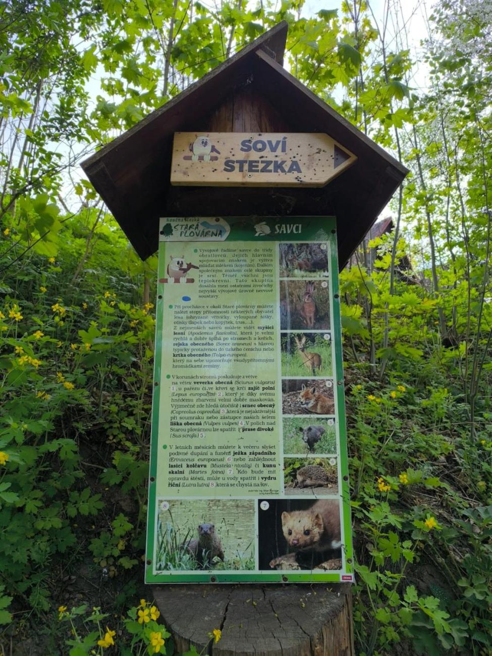 Jarní turistický den - Stará plovárna  1.A