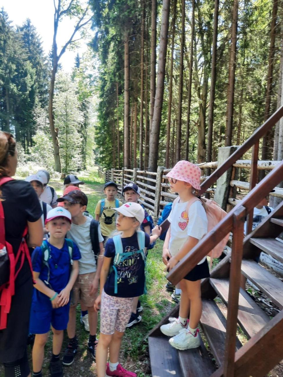 Výlet 2. C na hrad Roštejn