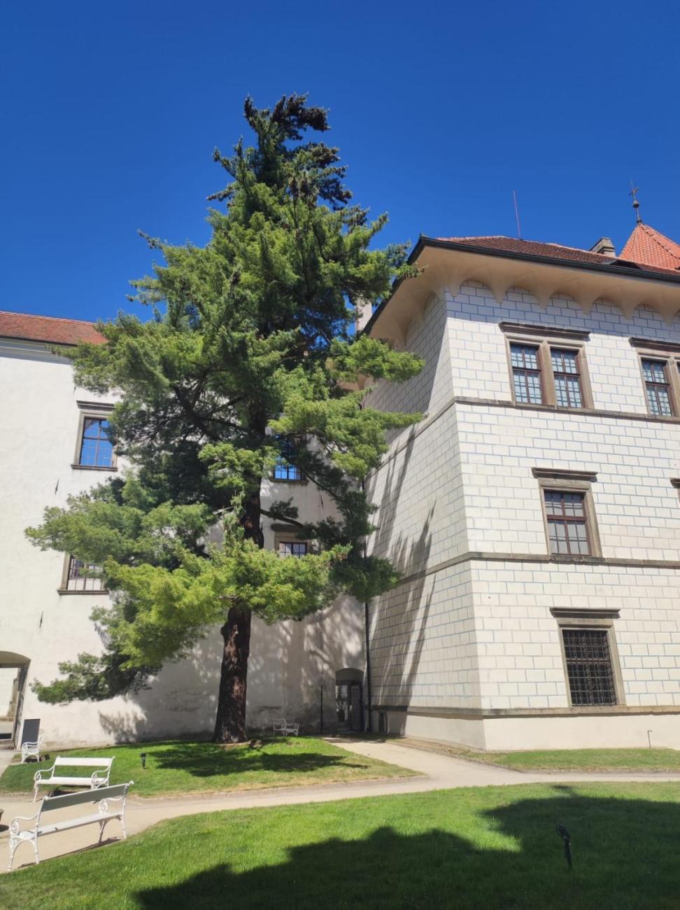 Společný výlet 3.A a 3.C