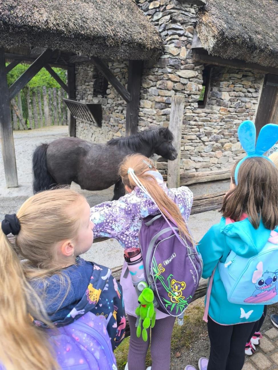 Návštěva Zoo Jihlava – program „Když jsem já sloužil“  1.A