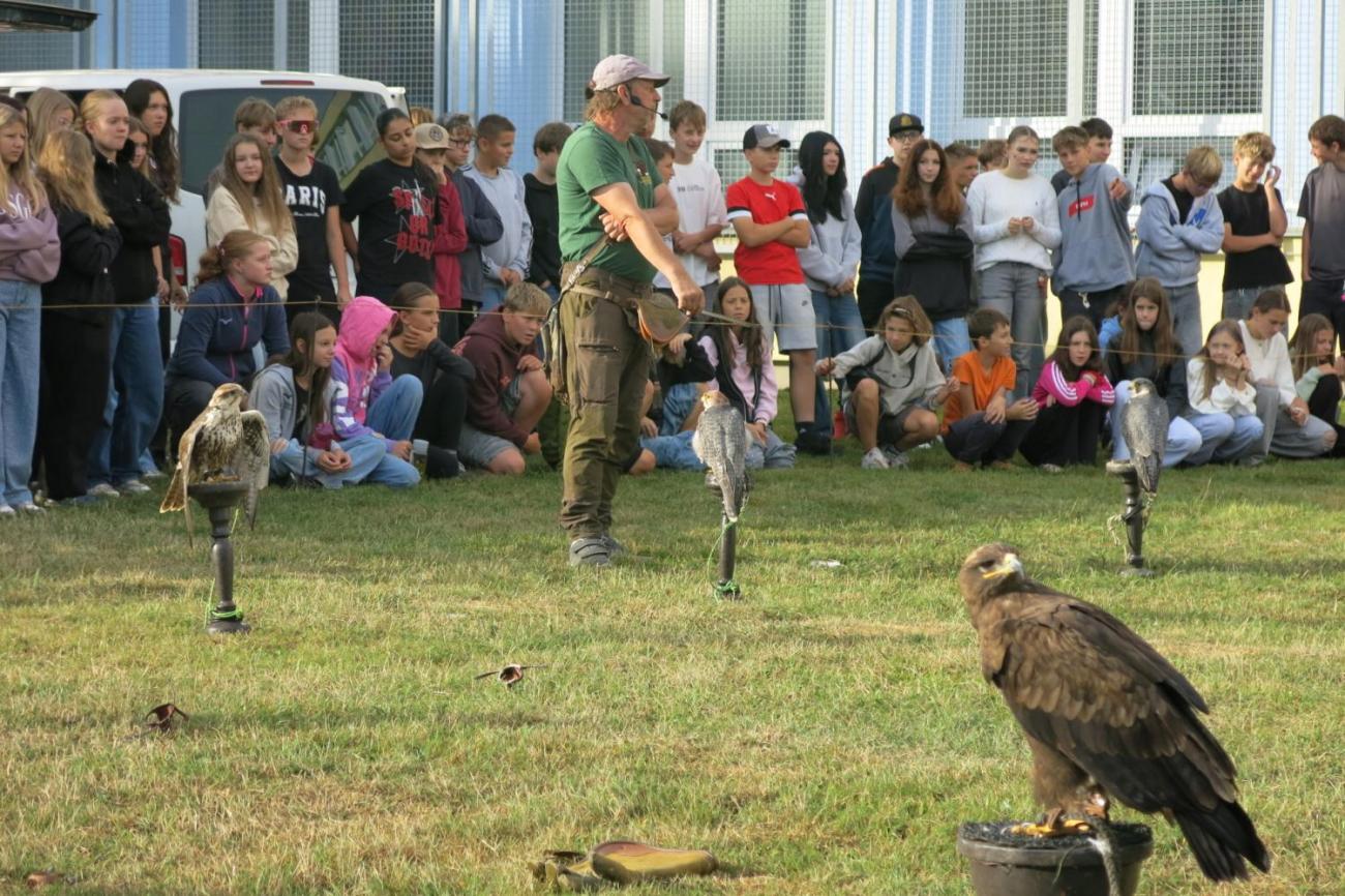Dravci zavítali na naši školní zahradu