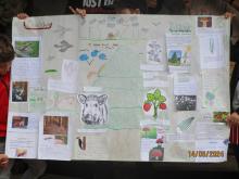 ZOO - Les žije  4. ročník